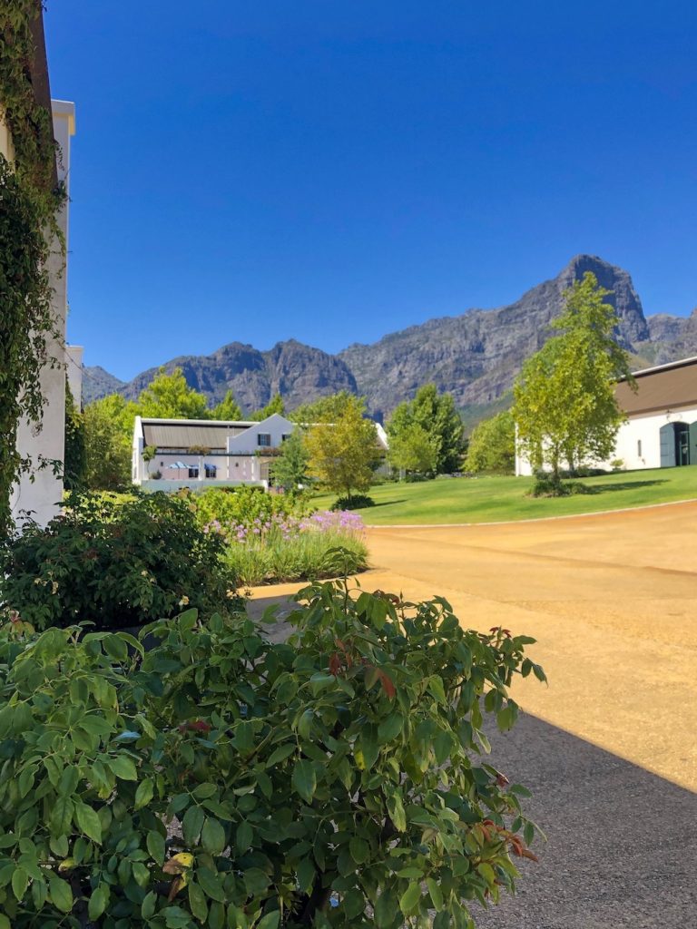 stunning views at the franschhoek motor museum