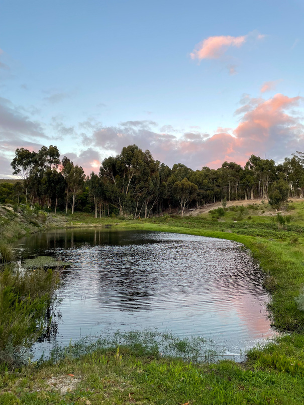 The dam behind the chalets at Sondagskloof