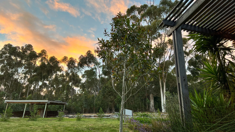 View of the sunrise sky from the Vlei Chalet